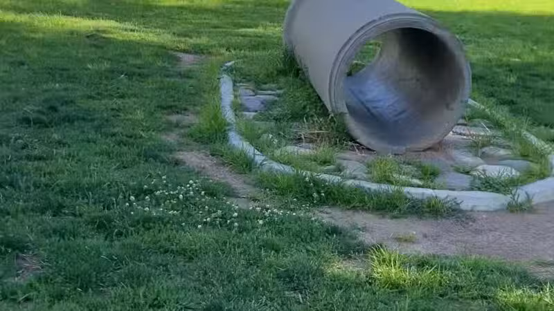 Kingman Dog Park - Kingman, AZ