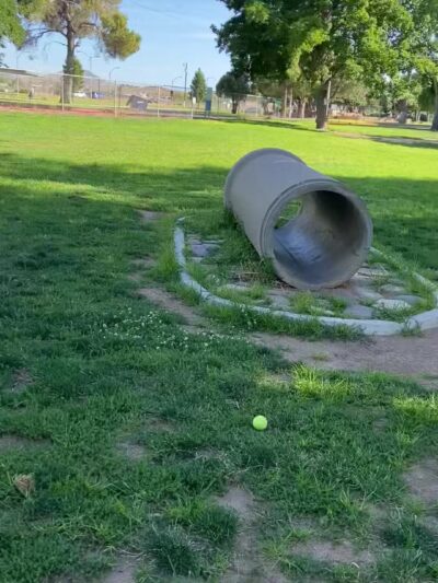 Kingman Dog Park - Kingman, AZ