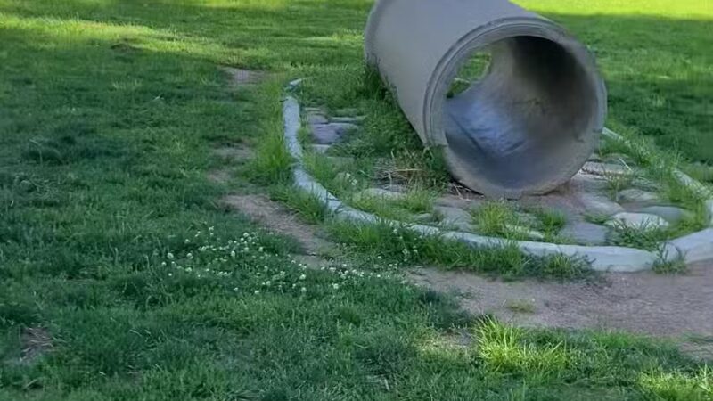 Kingman Dog Park - Kingman, AZ