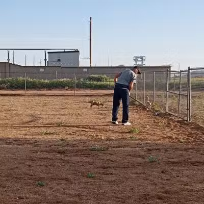 Neal Butler Park - Kingman, AZ