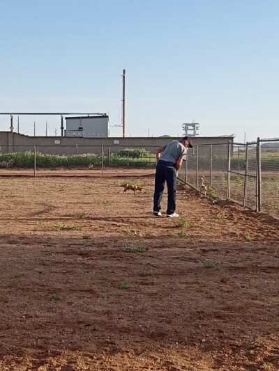 Neal Butler Park - Kingman, AZ