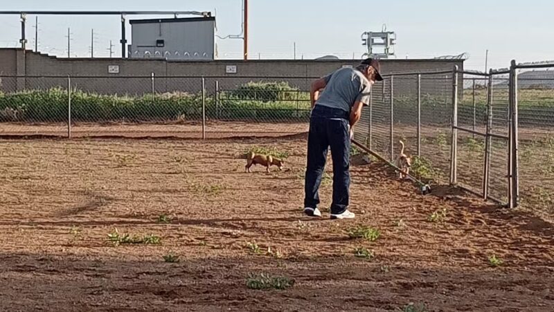 Neal Butler Park - Kingman, AZ