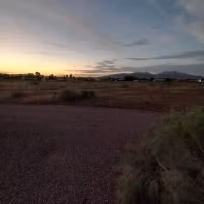 Willow's Dog Park - Kingman, AZ