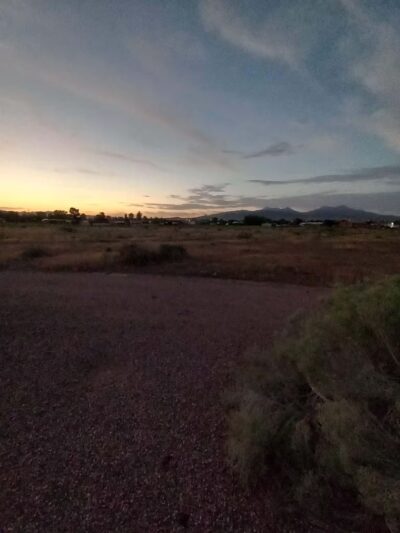 Willow's Dog Park - Kingman, AZ