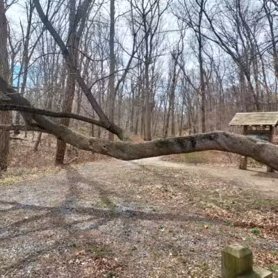 Kings Park Unique Area - Kings Park, NY