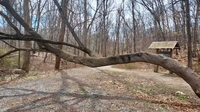 Kings Park Unique Area - Kings Park, NY