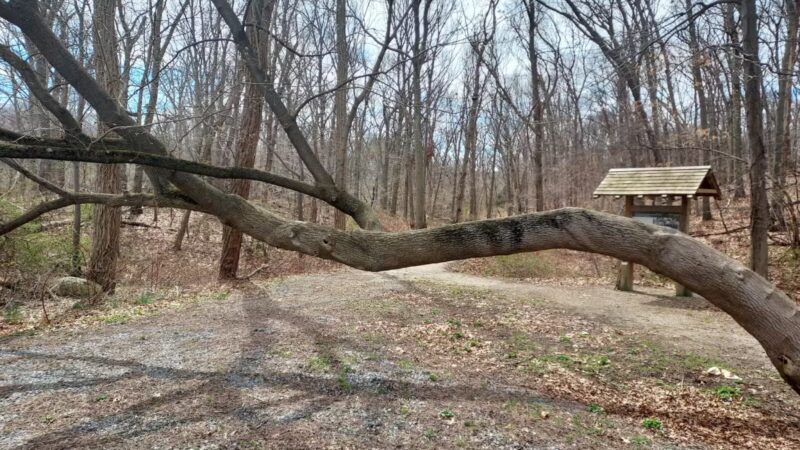 Kings Park Unique Area - Kings Park, NY