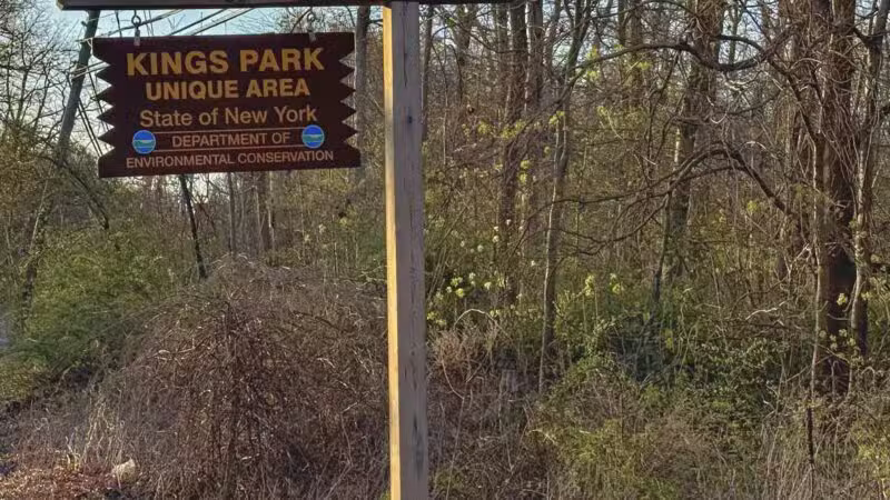 Kings Park Unique Area - Kings Park, NY