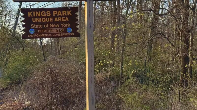 Kings Park Unique Area - Kings Park, NY