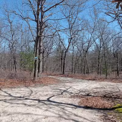 Kings Park Unique Area - Kings Park, NY
