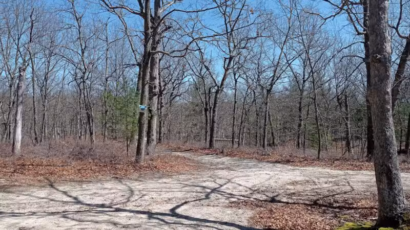 Kings Park Unique Area - Kings Park, NY