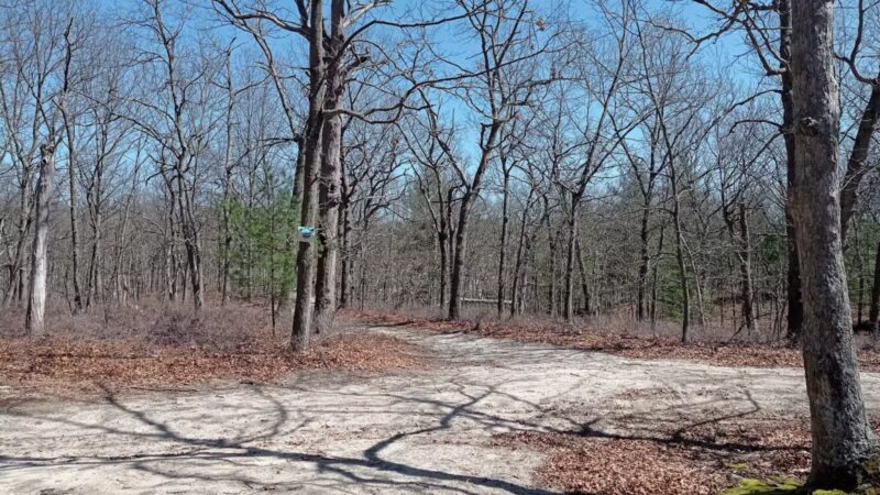 Kings Park Unique Area - Kings Park, NY