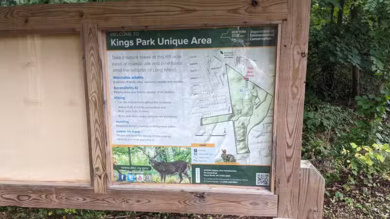 Kings Park Unique Area - Kings Park, NY