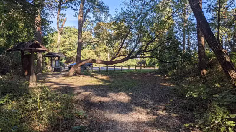 Kings Park Unique Area - Kings Park, NY