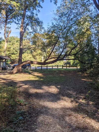 Kings Park Unique Area - Kings Park, NY