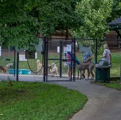 Kingsport Dog Park [MEMBERS ONLY] - Kingsport, TN