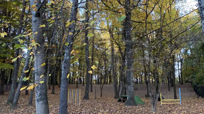 Kingsport Dog Park [MEMBERS ONLY] - Kingsport, TN