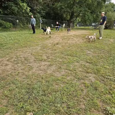 Kingston Point Dog Park - Kingston, NY