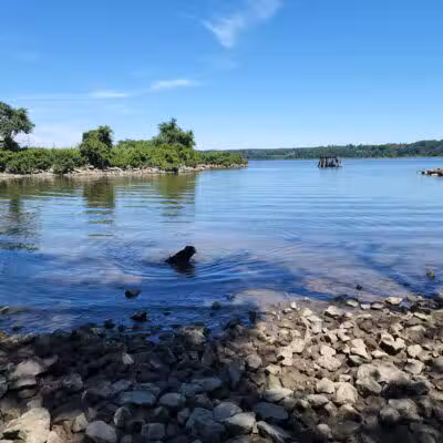 Kingston Point Dog Park - Kingston, NY