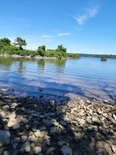 Kingston Point Dog Park - Kingston, NY