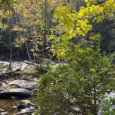 Gunpowder falls hiking - Kingsville, MD