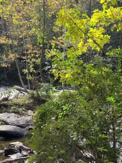 Gunpowder falls hiking - Kingsville, MD