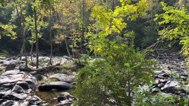 Gunpowder falls hiking - Kingsville, MD