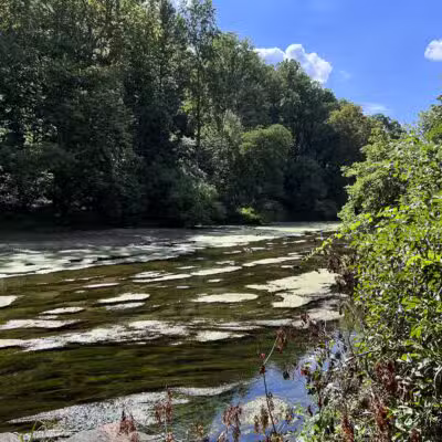 Gunpowder falls hiking - Kingsville, MD