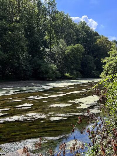 Gunpowder falls hiking - Kingsville, MD