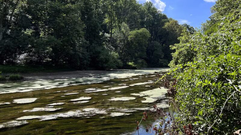 Gunpowder falls hiking - Kingsville, MD