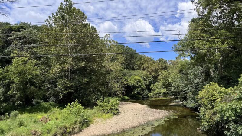Gunpowder falls hiking - Kingsville, MD