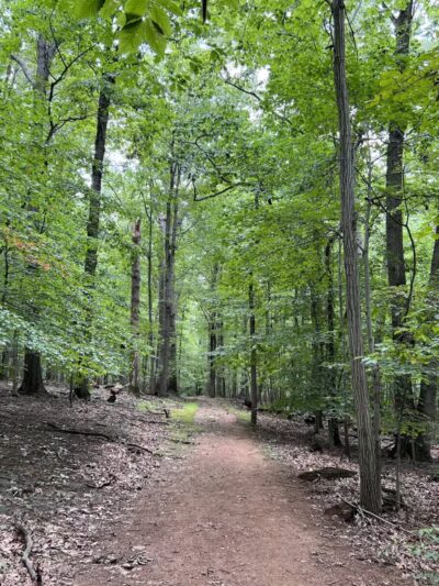 Gunpowder falls hiking - Kingsville, MD