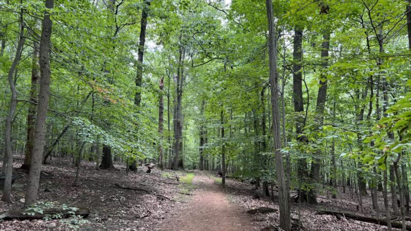 Gunpowder falls hiking - Kingsville, MD