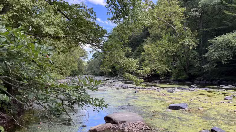 Gunpowder falls hiking - Kingsville, MD
