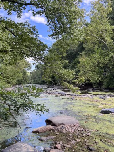 Gunpowder falls hiking - Kingsville, MD