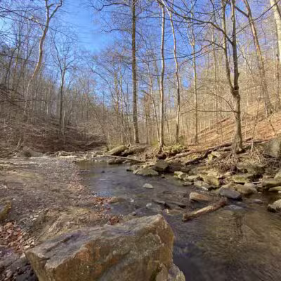 Gunpowder Falls State Park Central Area - Kingsville, MD