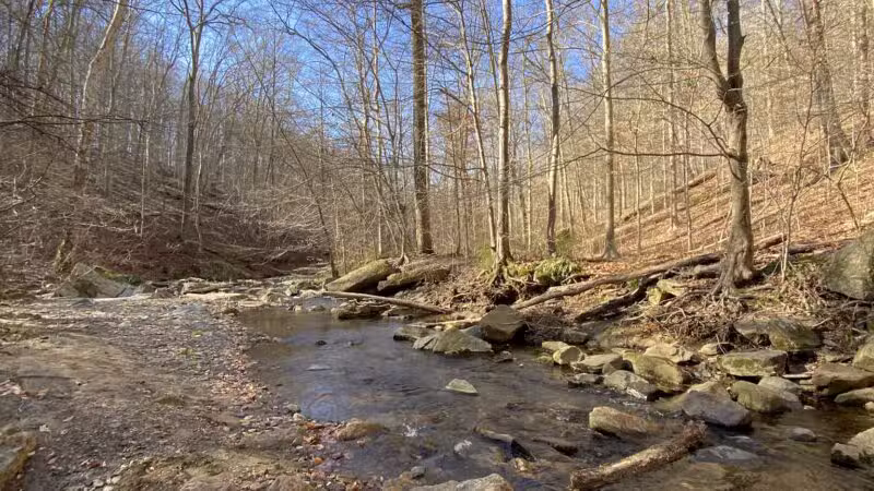 Gunpowder Falls State Park Central Area - Kingsville, MD