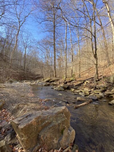 Gunpowder Falls State Park Central Area - Kingsville, MD