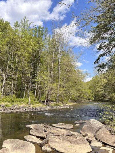 Gunpowder Falls State Park Central Area - Kingsville, MD