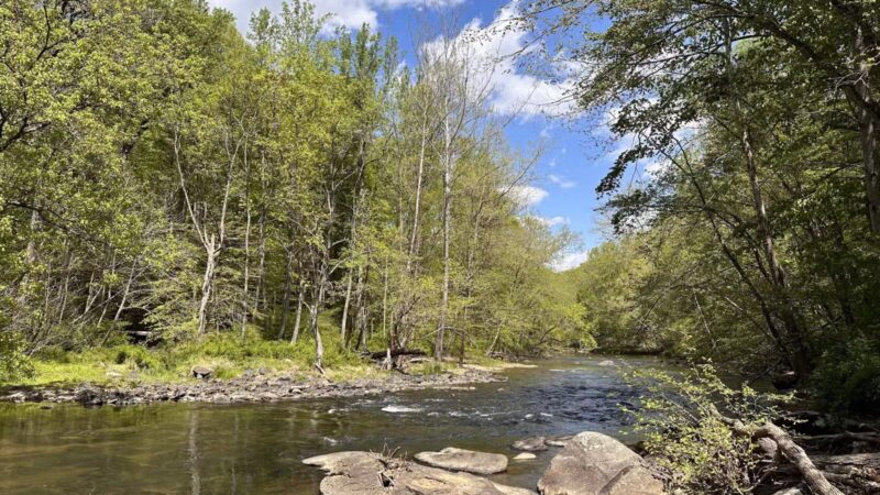 Gunpowder Falls State Park Central Area - Kingsville, MD