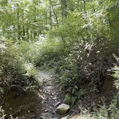 Gunpowder Falls State Park Central Area - Kingsville, MD