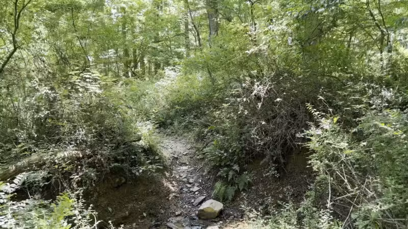 Gunpowder Falls State Park Central Area - Kingsville, MD