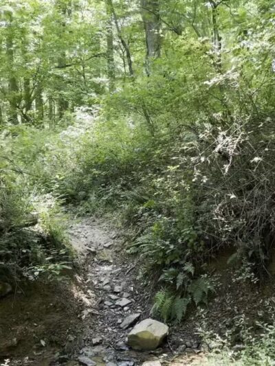 Gunpowder Falls State Park Central Area - Kingsville, MD