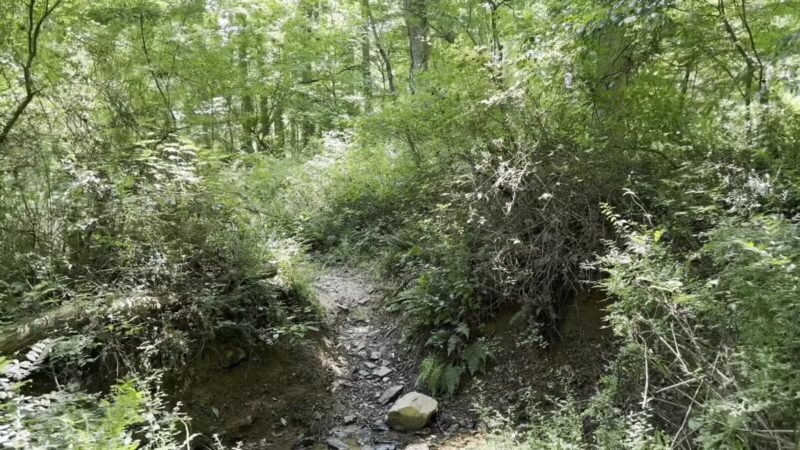 Gunpowder Falls State Park Central Area - Kingsville, MD