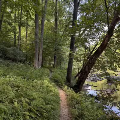 Gunpowder Falls State Park Central Area - Kingsville, MD