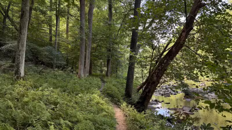 Gunpowder Falls State Park Central Area - Kingsville, MD