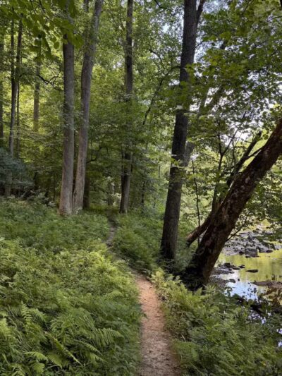 Gunpowder Falls State Park Central Area - Kingsville, MD