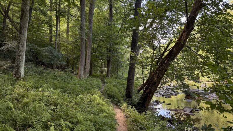 Gunpowder Falls State Park Central Area - Kingsville, MD