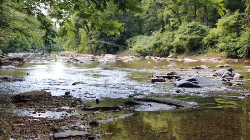Gunpowder Falls State Park Central Area - Kingsville, MD