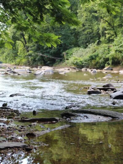 Gunpowder Falls State Park Central Area - Kingsville, MD
